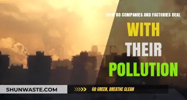Industrial Pollution: Strategies for a Greener Future
