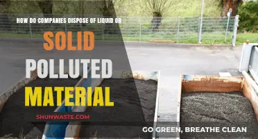 Safe Disposal of Liquid and Solid Pollutants: A Guide