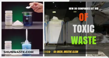 Effective Strategies for Companies to Safely Dispose of Toxic Waste