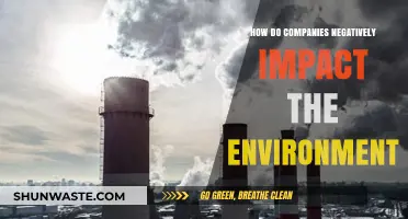 Corporate Environmental Footprint: How Businesses Harm Our Planet