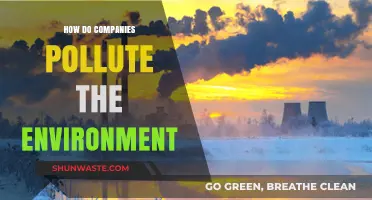 Corporate Environmental Impact: Polluting the Planet for Profits