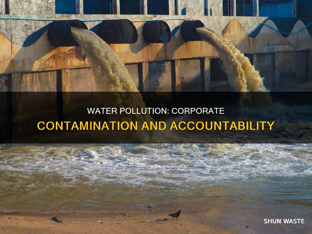 how do companies pollute water