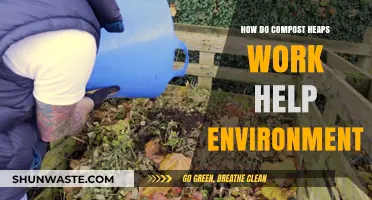 Compost Heaps: Eco-Friendly Waste Recycling for a Greener Environment