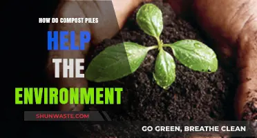 Compost Piles: Eco-Friendly Solutions for Reducing Waste and Enriching Soil