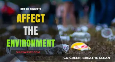 Concerts' Environmental Impact: Noise, Waste, and Carbon Footprint Explored