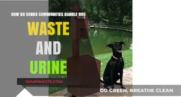 Managing Dog Waste in Condo Communities: Solutions and Best Practices