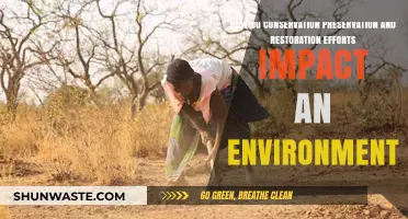 Conservation, Preservation, and Restoration: Transforming Ecosystems for a Sustainable Future