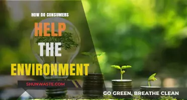 Sustainable Choices: How Consumers Drive Positive Environmental Impact Daily