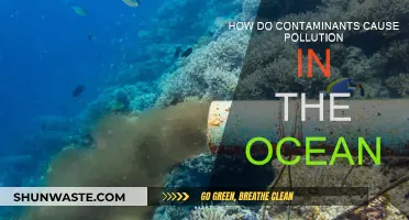 Ocean's Contaminant Crisis: Unveiling the Hidden Sources of Marine Pollution