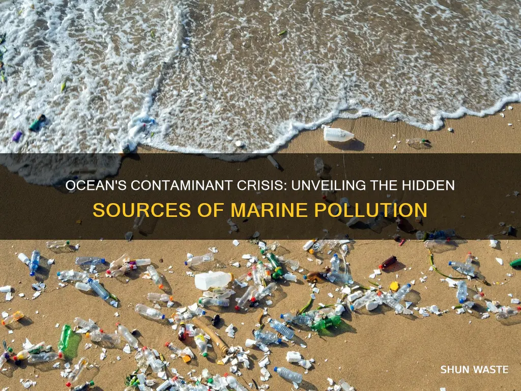 how do contaminants cause pollution in the ocean