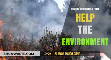 Controlled Burns: Unlocking Nature's Secrets to Restore and Protect Ecosystems