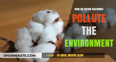 Cotton Factories: Environmental Polluters and Climate Change