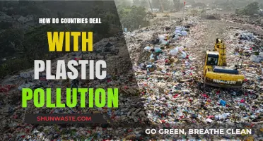 Battling Plastic Pollution: Strategies and Solutions Across Nations