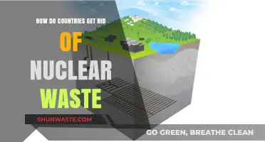 Safe Disposal Strategies: How Nations Manage and Eliminate Nuclear Waste