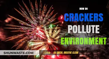 Crackers' Pollution: A Harmful Tradition