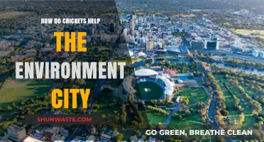 Crickets' Urban Role: Boosting City Ecosystems and Sustainability