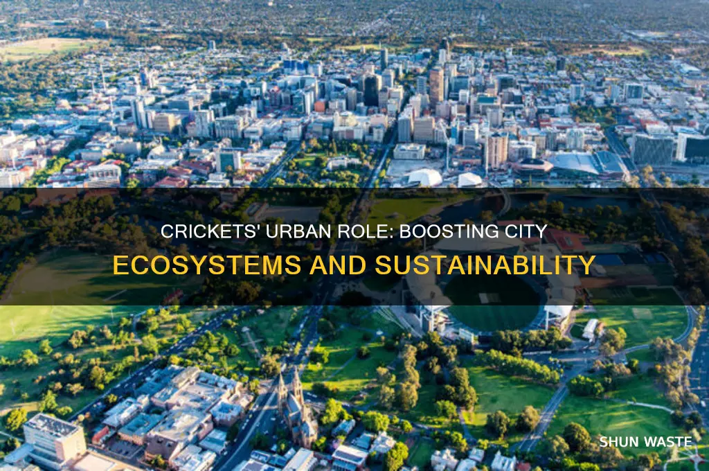 how do crickets help the environment city