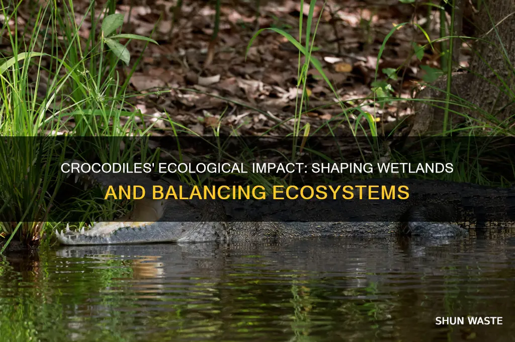 how do crocodiles affect the environment