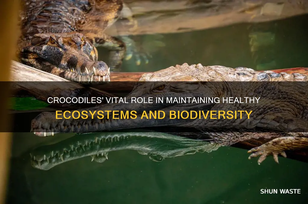 how do crocodiles help the environment