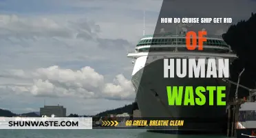 Cruise Ship Waste Management: How Human Waste is Disposed of at Sea