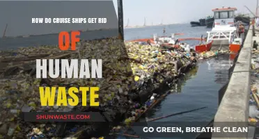 Cruise Ships' Waste Management: How Human Waste is Disposed of at Sea