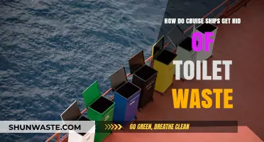 Cruise Ship Waste Disposal: How Toilet Waste is Managed at Sea