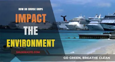 Cruise Ships' Environmental Impact: Pollution, Wildlife, and Sustainability Challenges