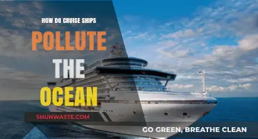 Cruise Ships: Ocean Polluters and Their Impact