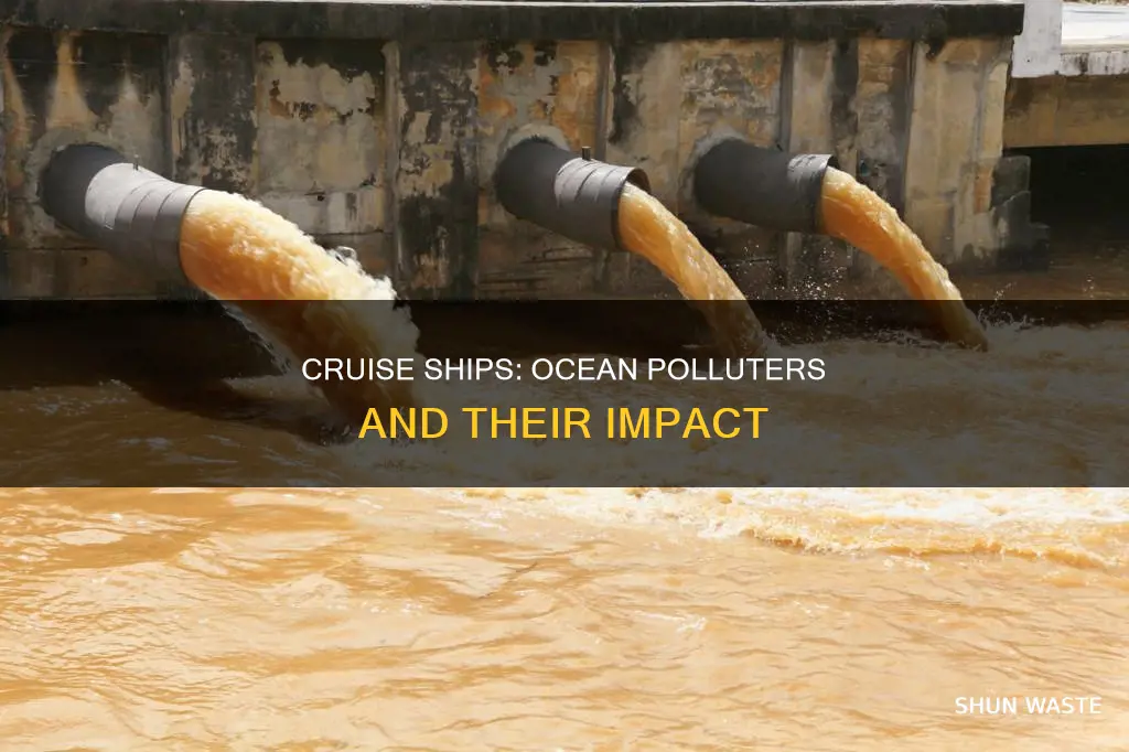 how do cruise ships pollute the ocean