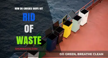 Cruise Ship Waste Disposal: How They Manage and Eliminate Trash at Sea