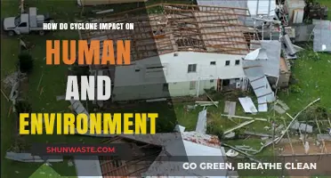 Cyclone Devastation: Human Lives and Ecosystems in the Storm's Path