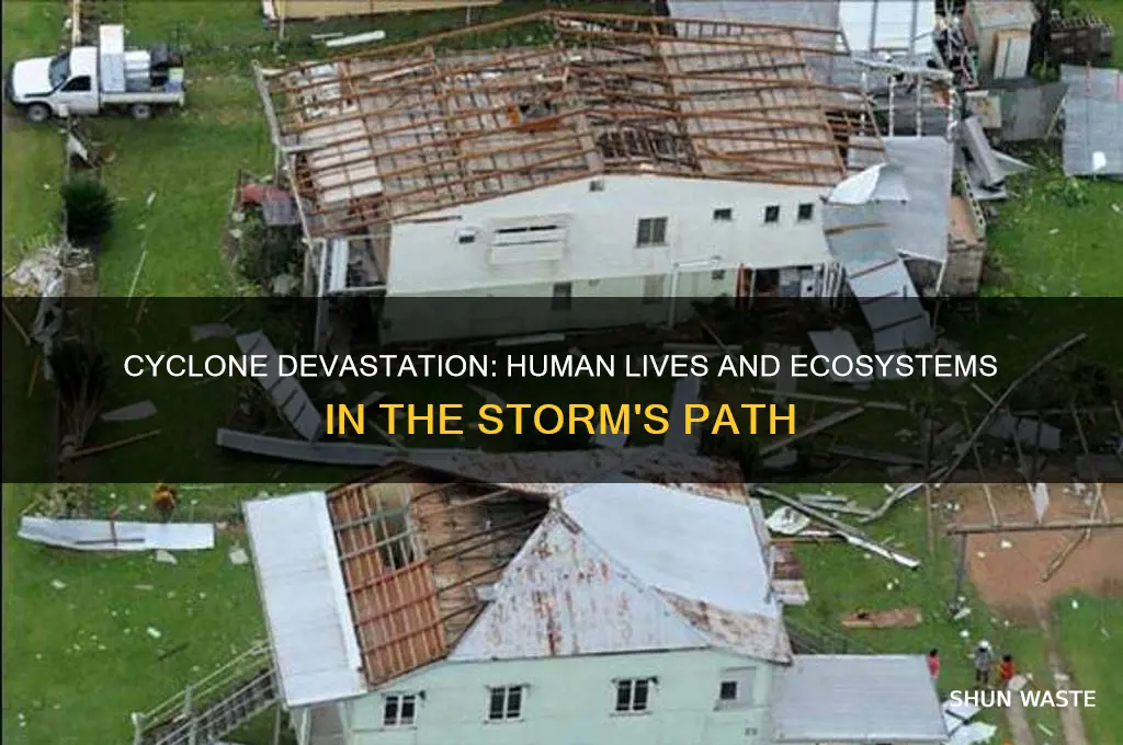 how do cyclone impact on human and environment