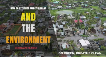 Cyclone Impacts: Human Lives, Ecosystems, and Environmental Consequences Explored