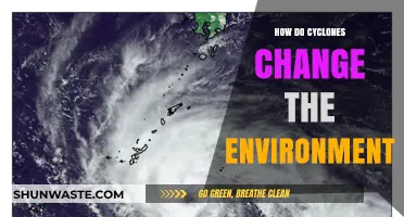 Cyclones' Impact: Transforming Ecosystems, Landscapes, and Coastal Environments