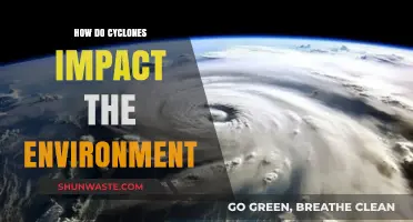 Cyclones' Environmental Toll: Destruction, Ecosystems, and Long-Term Impacts Explained