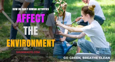 Daily Human Activities: Unseen Environmental Impacts and Sustainable Solutions