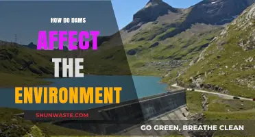 Dams' Environmental Impact: Ecosystem Disruption, Biodiversity Loss, and Beyond