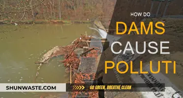 Dams' Environmental Impact: Uncovering Water Pollution Secrets