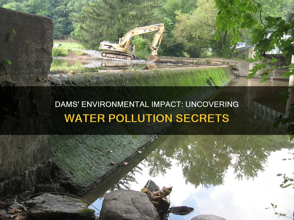 how do dams cause pollution