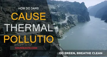 Dams' Hidden Cost: Unveiling Thermal Pollution's Impact on Waterways