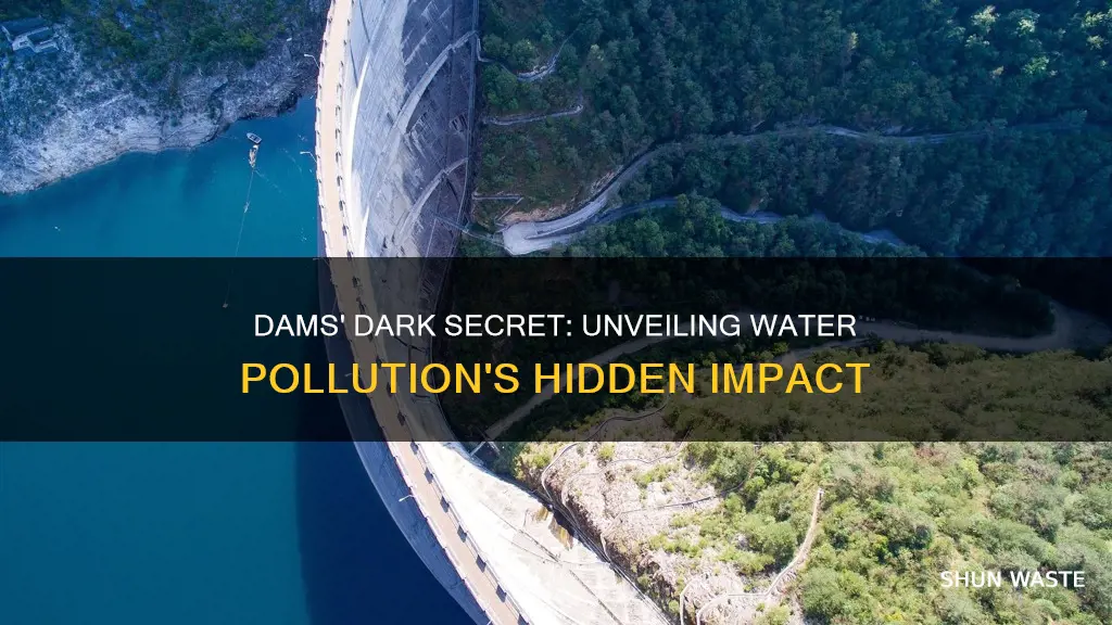 how do dams cause water pollution