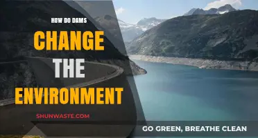 Dams' Environmental Impact: Altering Ecosystems, Water Flow, and Landscapes