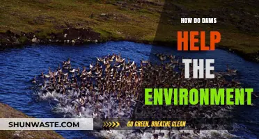 Dams: Environmental Benefits, Ecosystem Support, and Sustainable Water Management