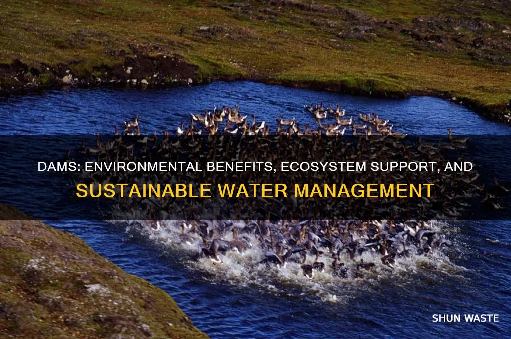 how do dams help the environment