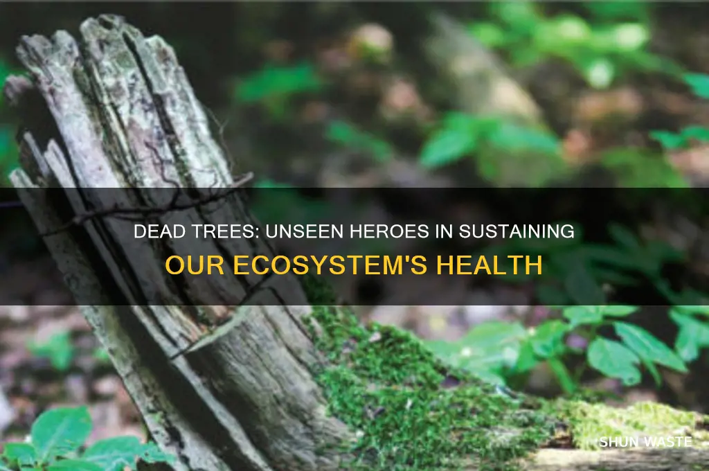 how do dead trees help the environment