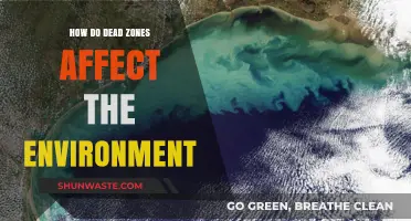 Dead Zones' Devastating Impact on Marine Ecosystems and Biodiversity