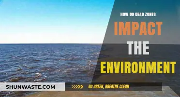 Dead Zones: Devastating Environmental Impacts and Ecosystem Consequences Explained