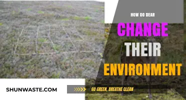 Deer's Impact: Shaping Ecosystems Through Grazing and Habitat Modification