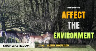 Deer's Environmental Impact: Shaping Ecosystems and Biodiversity Dynamics