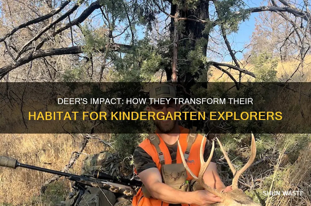 how do deer change their environment kindergarten